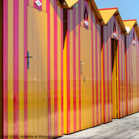 Buy canvas prints of Beach huts by David Belcher