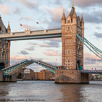 Buy canvas prints of Tower Bridge by David Belcher