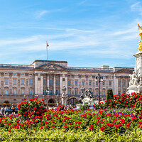 Buy canvas prints of Buckingham Palace by David Belcher