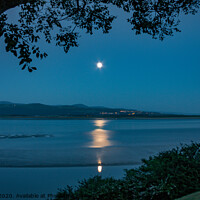 Buy canvas prints of Moonlight over Harlech by David Belcher
