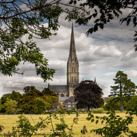 Buy canvas prints of Salisbury cathedral by David Belcher