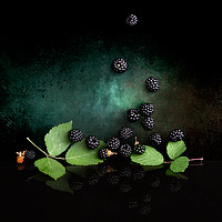 Buy canvas prints of Wild blackberries by Judith Flacke