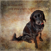 Buy canvas prints of You're never lost, just somewhere new by Judith Flacke
