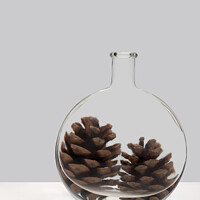 Buy canvas prints of Pine cone refraction. by Judith Flacke