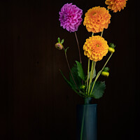 Buy canvas prints of Home grown dahlia flowers in vase.  by Judith Flacke