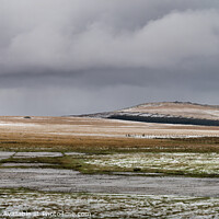 Buy canvas prints of Snow on the Moor by Judith Flacke