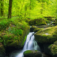 Buy canvas prints of Kennall Vale Nature Reserve by Ian Woolcock