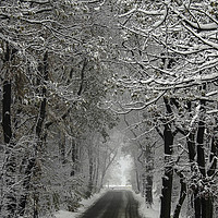 Buy canvas prints of Winters Lane by Karl Lawrence