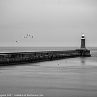 Buy canvas prints of tynemouth pier  by david siggens