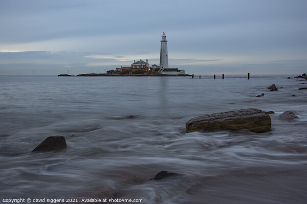 St Marys lighthouse long exposure Picture Board by david siggens