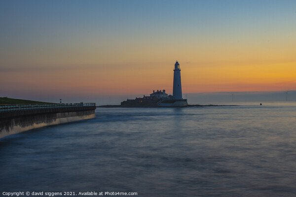 St Marys lighthouse Sunrise Picture Board by david siggens