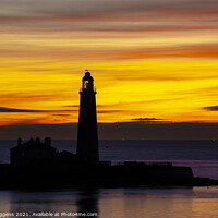 Buy canvas prints of St Marys lighthouse Sunrise by david siggens