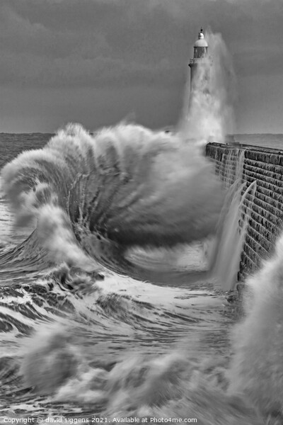 Tynemouth pier waves Picture Board by david siggens