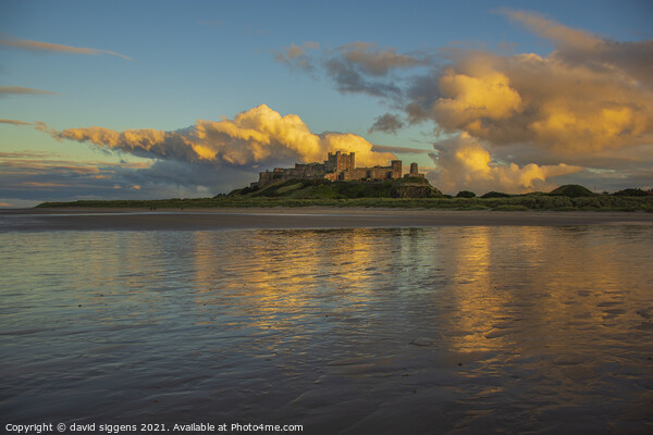 Bamburgh castle beach northumberland Picture Board by david siggens