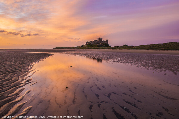 bamburgh castle sunrise northumberland Picture Board by david siggens