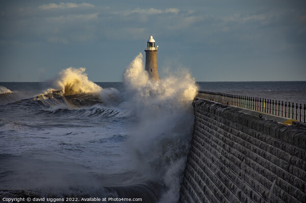 Tynemouth pier storm corrie Picture Board by david siggens