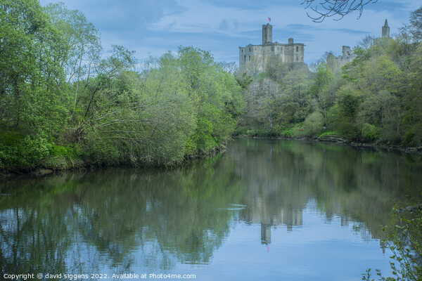Walkworth Castle River Coquet Northumberland Picture Board by david siggens