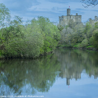 Buy canvas prints of Walkworth Castle River Coquet Northumberland by david siggens