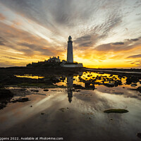 Buy canvas prints of St Marys lighthouse sunrise 23rd may by david siggens