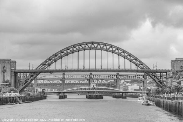Tyne bridges Picture Board by david siggens