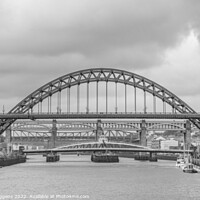 Buy canvas prints of Tyne bridges by david siggens