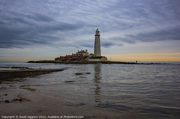 St Marys lighthouse whitley bay  Picture Board by david siggens