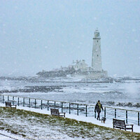 Buy canvas prints of Whitley Bay lighthouse winter postcard by david siggens