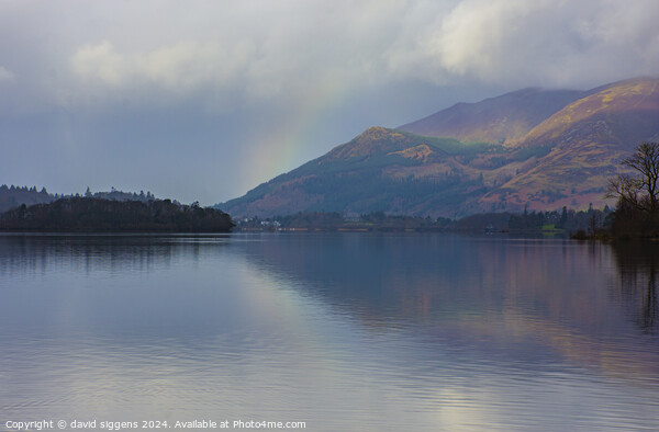 Derwent water the lakes Picture Board by david siggens