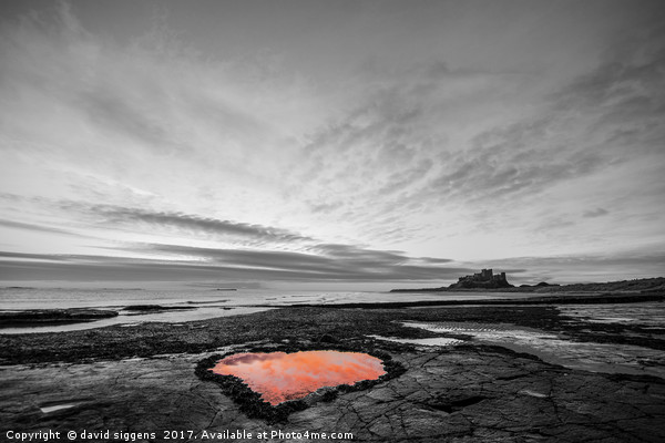 Bamburgh Northumberland Heart shaped rock pool Picture Board by david siggens