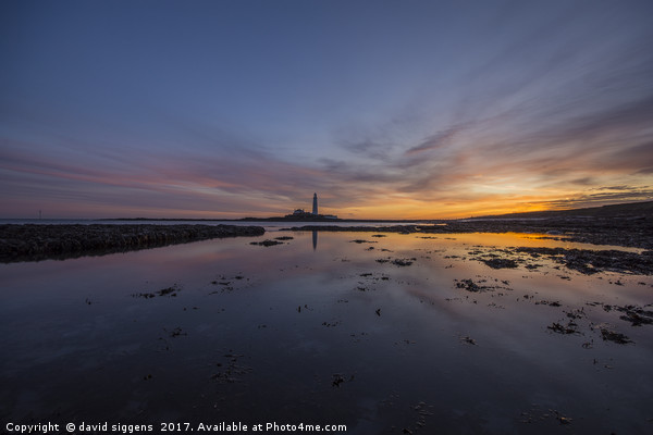 November Sunrise at St Marys Island Picture Board by david siggens