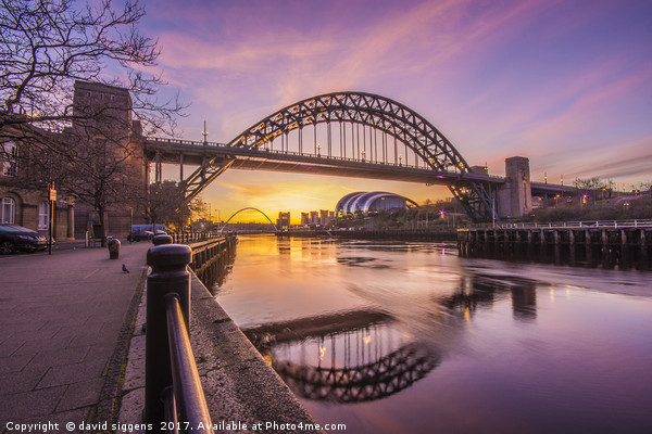 Tyne bridge Sunrise Picture Board by david siggens