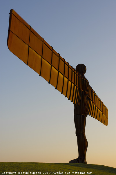 Angel of the North Picture Board by david siggens