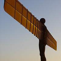 Buy canvas prints of Angel of the North by david siggens