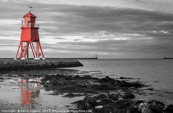 South shields Groyne lighthouse Picture Board by david siggens