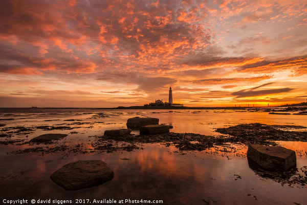 Fire in the sky St marys Lighthouse Picture Board by david siggens