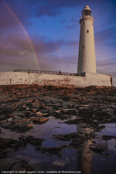 St Marys lighthouse rainbow Picture Board by david siggens