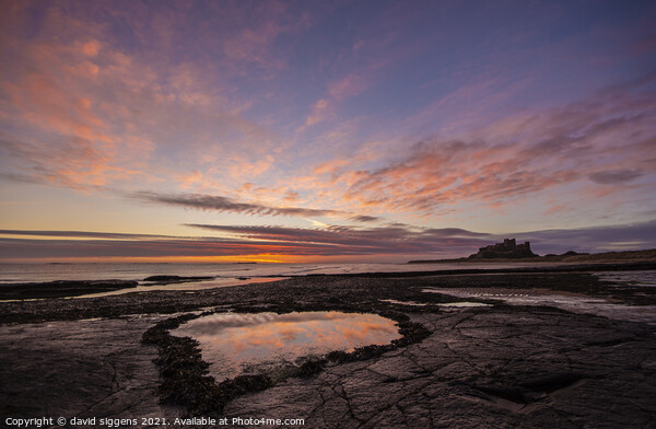 Bamburgh Northumberland love heart pool Picture Board by david siggens