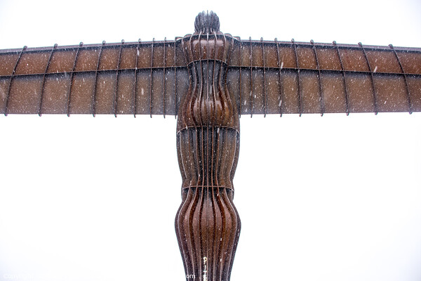 Angel of the north Picture Board by david siggens