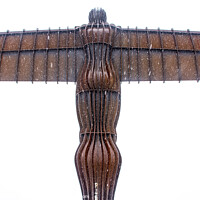 Buy canvas prints of Angel of the north by david siggens