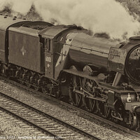 Buy canvas prints of Flying scotsman steam train by david siggens