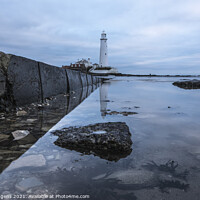Buy canvas prints of St marys lighthouse reflections by david siggens