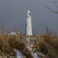 Buy canvas prints of St Marys lighthouse snow  by david siggens