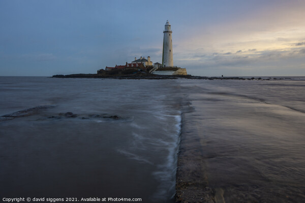 St Marys lighthouse long exposure Picture Board by david siggens