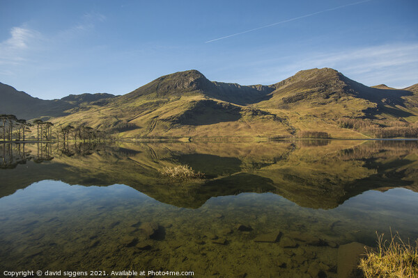 Buttermere lake district Picture Board by david siggens