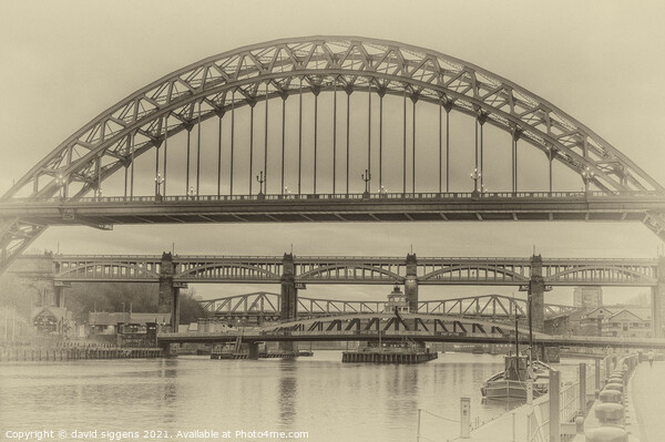 Tyne Bridges Picture Board by david siggens