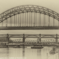 Buy canvas prints of Tyne Bridges by david siggens