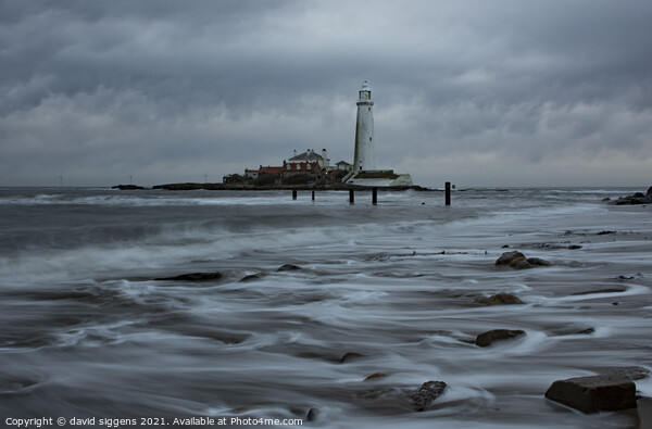 St Marys lighthouse long exposure waves Picture Board by david siggens