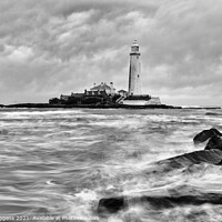 Buy canvas prints of Black and white st marys lighthouse  by david siggens