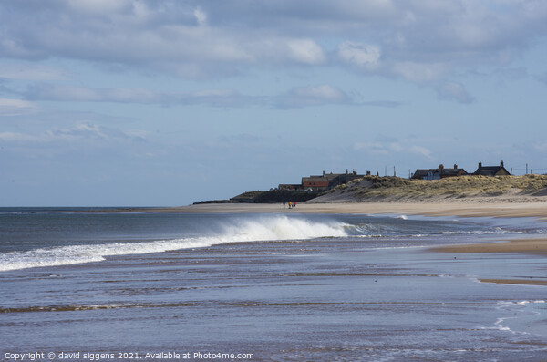 Cresswell beach northumberland Picture Board by david siggens