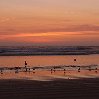 Buy canvas prints of Sunset and waders at Pismo Beach California by Carmen Green